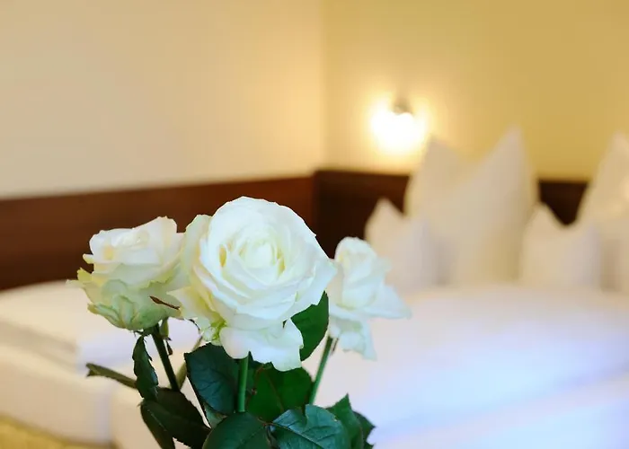 Hotel Inspiration Garni 3*