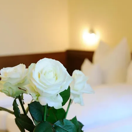 Hotel Inspiration Garni 3*